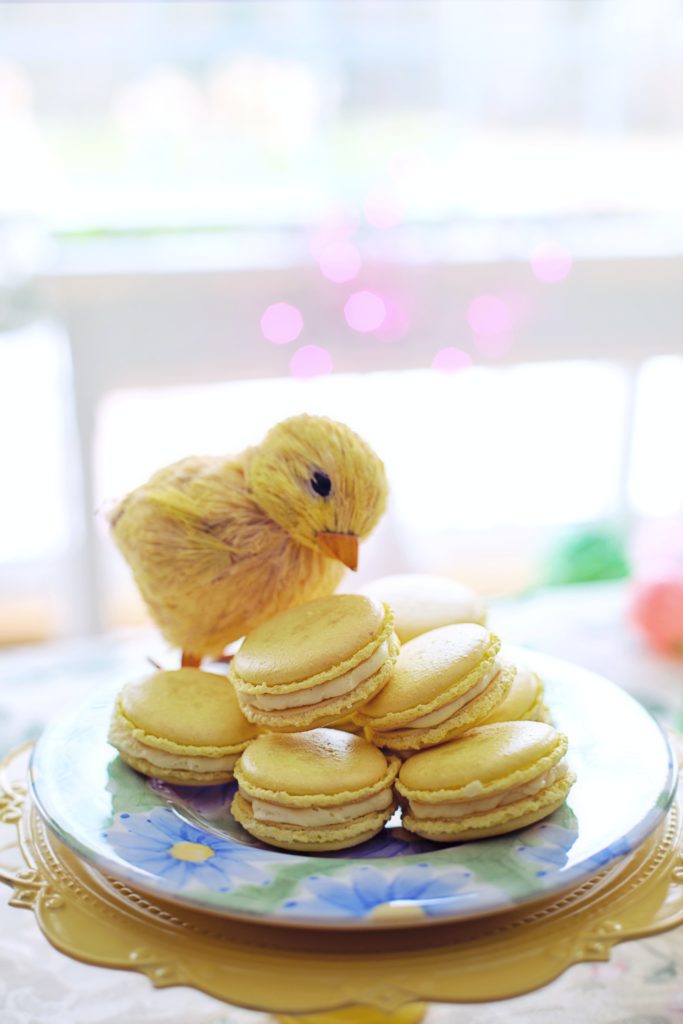 Petite figurine d'un poussin surplombant une assiette de macarons à la vanille suggérant la douceur du parfum